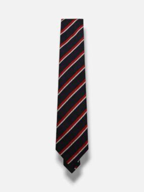 Zegna Men's Blue Striped Jacquard Tie